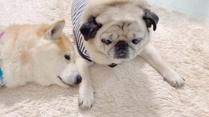 T&P Brothersのインスタグラム