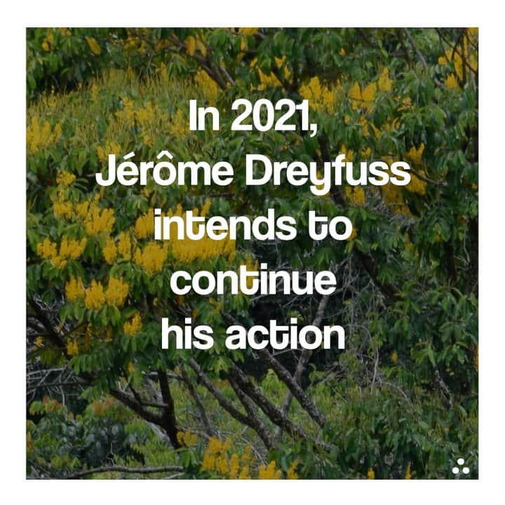 ジェロームドレイフュスのインスタグラム：「In 2021, Jérôme Dreyfuss intends to continue his action and his donations will allow: - the planting of more than 15,000 trees, - support for 80 coffee, aromatic plants or honey producers - the supply of materials (70 beehives) to produce 2 tonnes of honey and reduce the use of chemical pesticides in order to preserve the exceptional biodiversity of Las Yungas.  The Maison Jérôme Dreyfuss is very grateful, it is thanks to your loyalty that we can achieve these results.   #jeromedreyfuss #coeurdeforet #yesfuture  #environmentday」