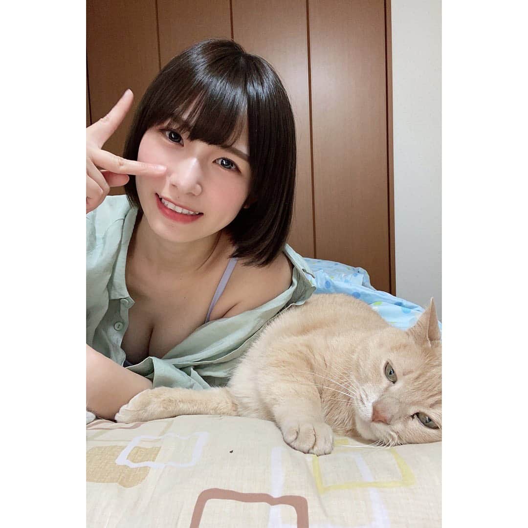 村上りいなさんのインスタグラム写真 - (村上りいなInstagram)「Good morning!!! 早安🐱✨  #instagood #followme #selfie #cat  #猫 #kitty #cute #ねこ」6月6日 7時59分 - riina_murakami