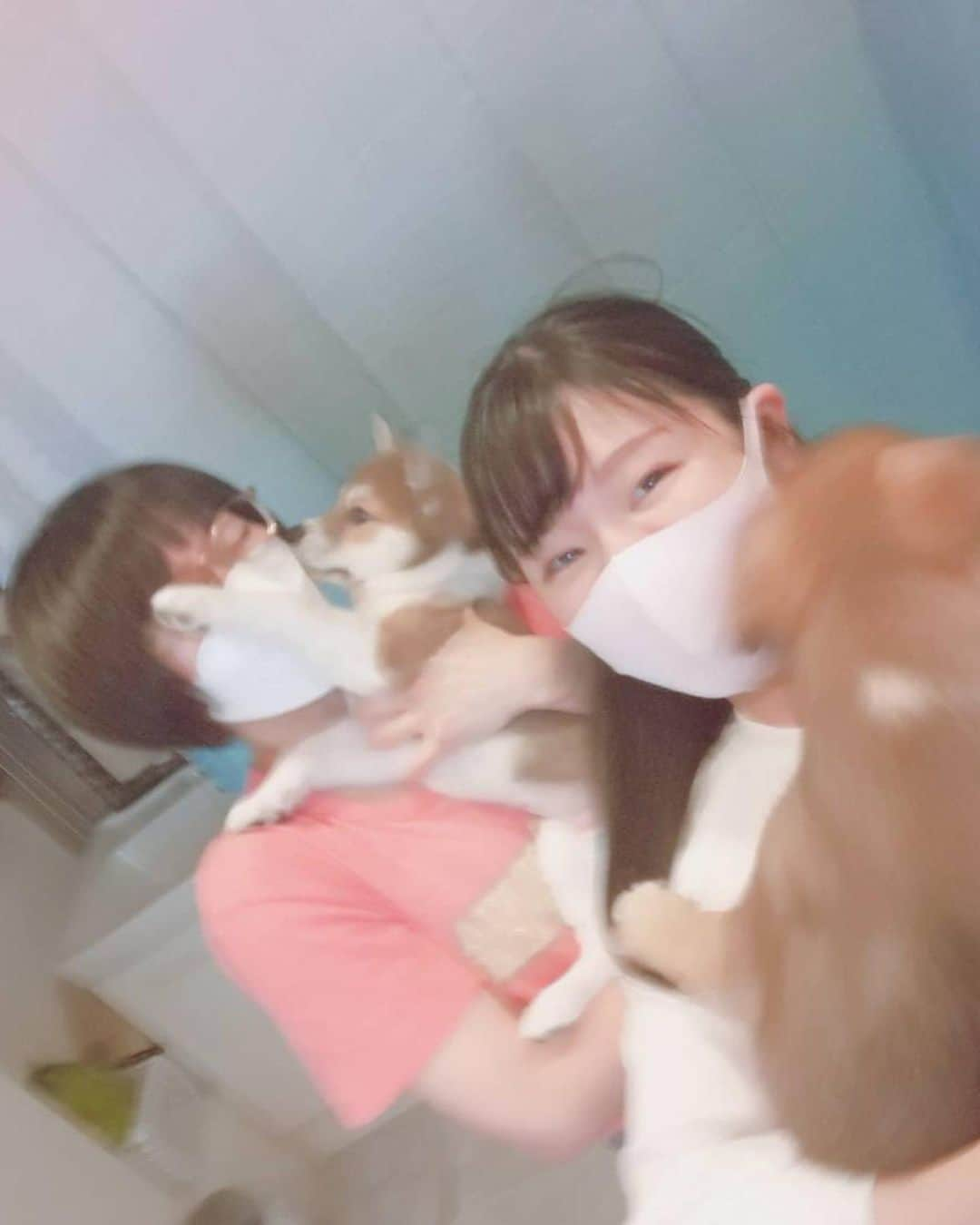 時東ぁみさんのインスタグラム写真 - (時東ぁみInstagram)「困ってる団体さんいますか？？🐶🐱 ・ “伝え方”ってすごく大事ですよね！ 保護犬猫に里親を見つけるために頑張ってる団体さんはたくさんいます。 その団体さんの伝え方で早く見つかるかどうかのスピード感が変わる。 このアネラカフェさんはすごいと思います！ 次行ったら前回いた子たちはほとんど里親が決まってる！！ ・ そんな伝え方、PRの仕方をお手伝いしたい！と勝手に動いてますw 保護することは簡単なことじゃない、そのこと自体めちゃくちゃ尊敬します。 私ができることで協力できたら…協力してほしい団体さんがいたら言ってください！！ 全力で動きますっ！！！ ・ この日は同じ思いを持つ、みづきあかりさんと♡ swipe→4 犬パンチされてる私www ・ #時東ぁみ #保護犬猫 #保護犬猫カフェ #保護犬 #保護猫 #カフェ #アネラカフェ #anellacafe #繁殖犬 #ペットショップ #ブリーダー #放棄 #崩壊 #悲しい #可愛い #幸せ #浮気 #支援 #おやつ #いぬすたぐらむ #犬バカ部 #ねこすたぐらむ #猫バカ部 #伝え方 #snsの使い方 #動きます #🐶 #🐱」6月6日 8時46分 - amitokito