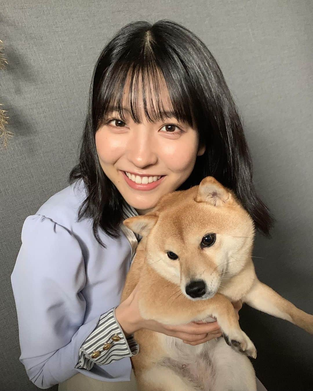 早川聖来さんのインスタグラム写真 - (早川聖来Instagram)「聖来ブログ 個人pvのイヌ🐾  #早川聖来#乃木坂46#聖来ブログ#犬」6月6日 11時46分 - seira_hayakawa