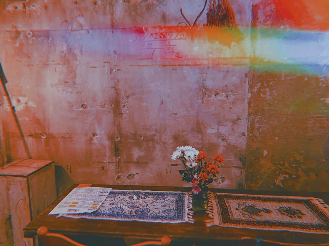 ヒコロヒーのインスタグラム：「#20210606 🌷🌷  I don't really care about people who neglect to study, don't snuggle up to the weak, don't develop their imagination, try to hurt someone badly, or waste precious time in their lives.  I don't care how such people judge me.  I always feel perfectly right when they hate me.  I'm rather happy because I'm not happy to say that empty people say to like me.  I love you who have a good taste and love me deeply! いつもありがとう！感謝をしとるんや」