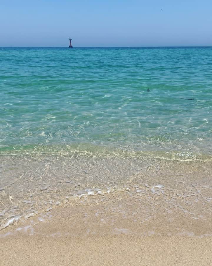 のインスタグラム：「🌊」