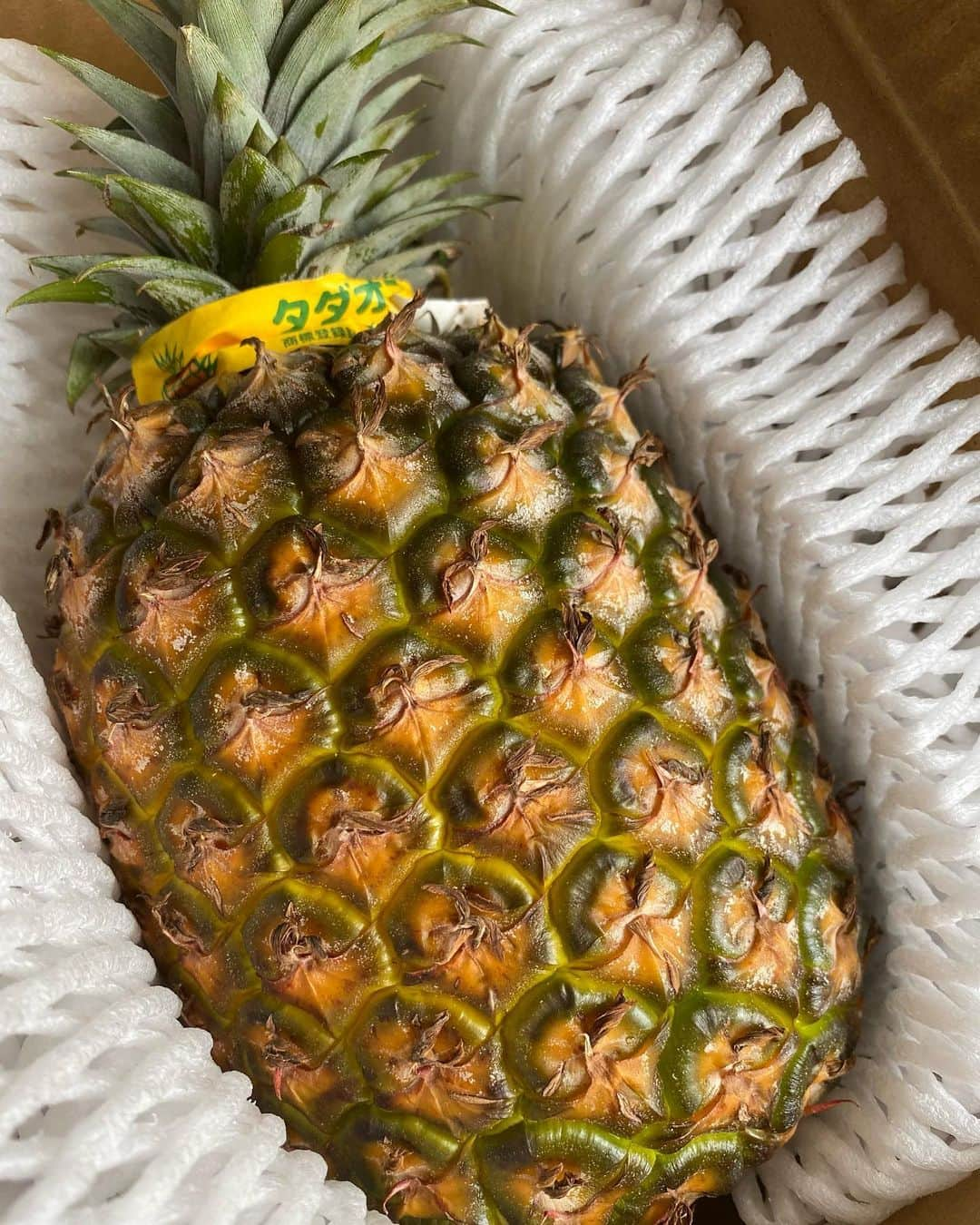 桃乃木かなさんのインスタグラム写真 - (桃乃木かなInstagram)「HACHIKUさんのフルーツ販売 .  . タダオゴールド🍍 ゴールドラッシュ🌽 . .  タダオゴールドはパイナップルの中でも糖度がより高いみたい！形も立派だね〜☺️ とうもろこしもふっくらしてて甘くて美味しかったよ〜◎  #HACHIKU #池袋」6月6日 15時48分 - kana_momonogi