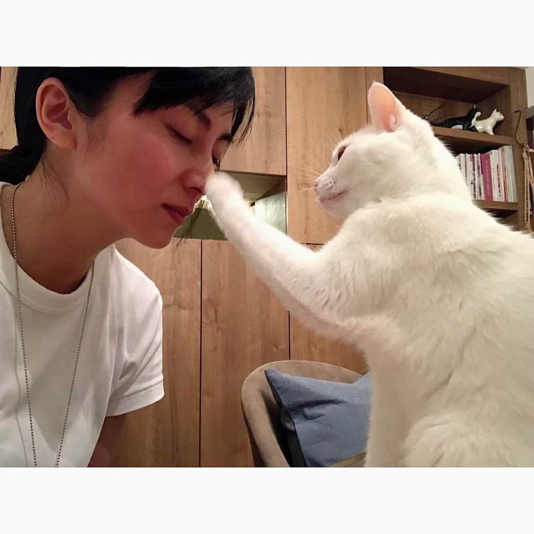 柴咲コウのインスタグラム：「最近、動物ともっとコミュニケーションがとれたらな、と思い練習してる😌 視覚を超えて「視る」練習。  そうすると、のえるが 顔をちょいちょいチョイって触ってくる。 「聞いて聞いて」って言ってるみたい☺️  #もしくは #まだまだだなって言ってる ? #朝起きるときも #ちょいちょいちょい #寝過ぎると #退屈らしい #昼より朝や夜が #効果的」