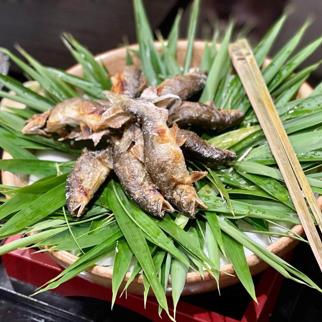 三浦瑠麗さんのインスタグラム写真 - (三浦瑠麗Instagram)「ジビエと川魚、山菜など地のものにこだわったお料理。鮎は炭火焼きしたものを頭から尻尾まで、食べられます。 〆のお雑炊は地鶏のおだしで、山菜づくし。 信州の味覚とも近くて、うれしくいただきました。　#地獄温泉」6月6日 17時59分 - lullymiura