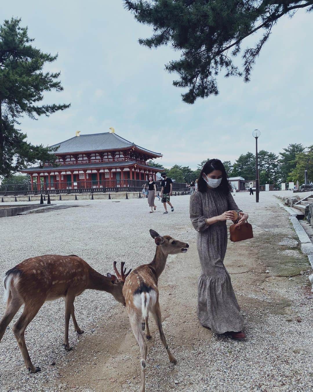 白澤貴子のインスタグラム：「Deer is not like horse😂  息子が鹿に餌をあげたいというのでホテルからすぐの奈良公園へ連れて行って私もトライ。  もっとくれと服を噛まれてすぐに退散。  ひとつ前の投稿の優雅さとは雲泥の差。  馬には慣れているから大丈夫だと思っていたけれど、同じようにはいかないね💔  #白澤と奈良県」