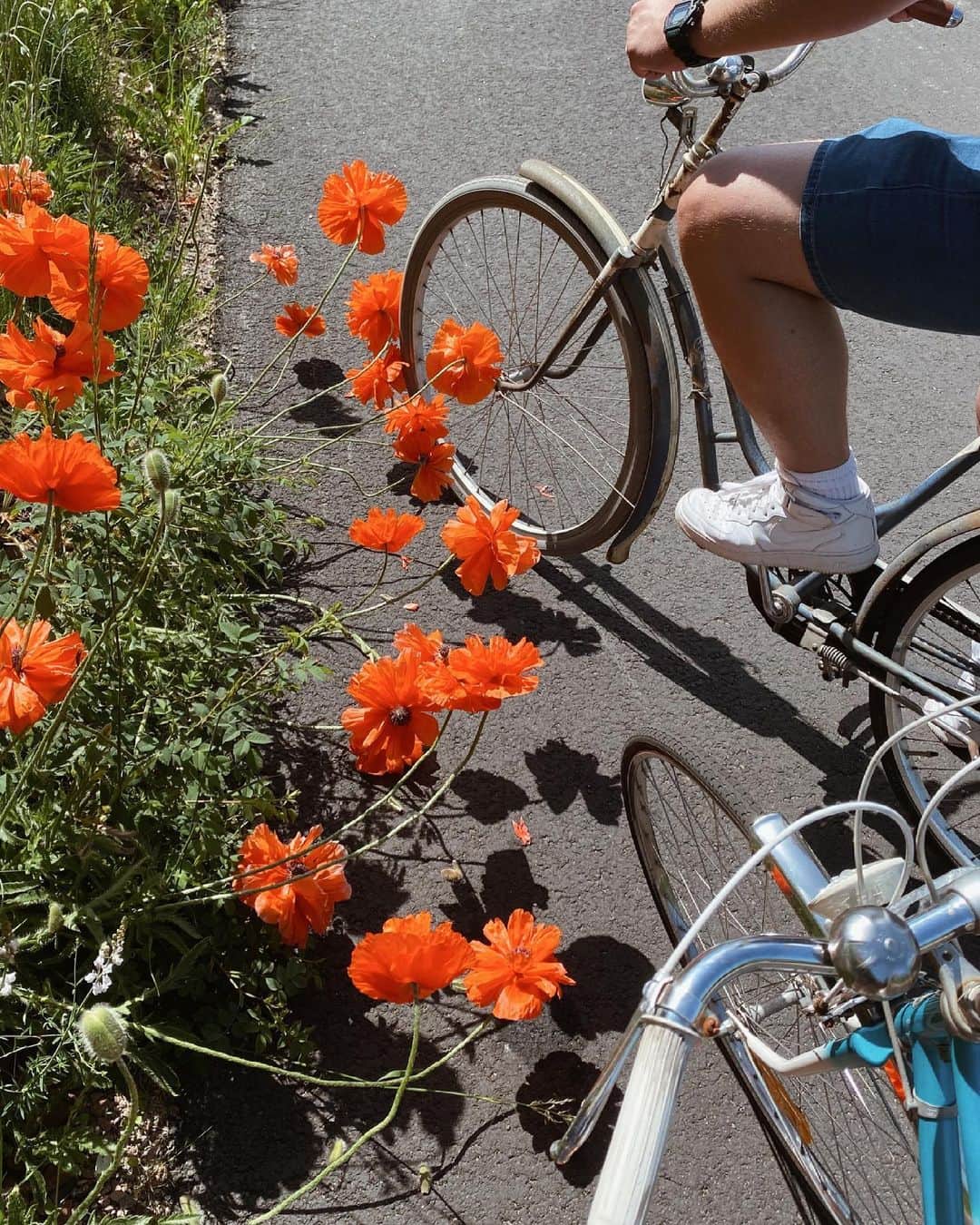 Annette Pehrssonのインスタグラム：「swipe for the best bike weekend with the one i love 🌺 @robotsputnik」