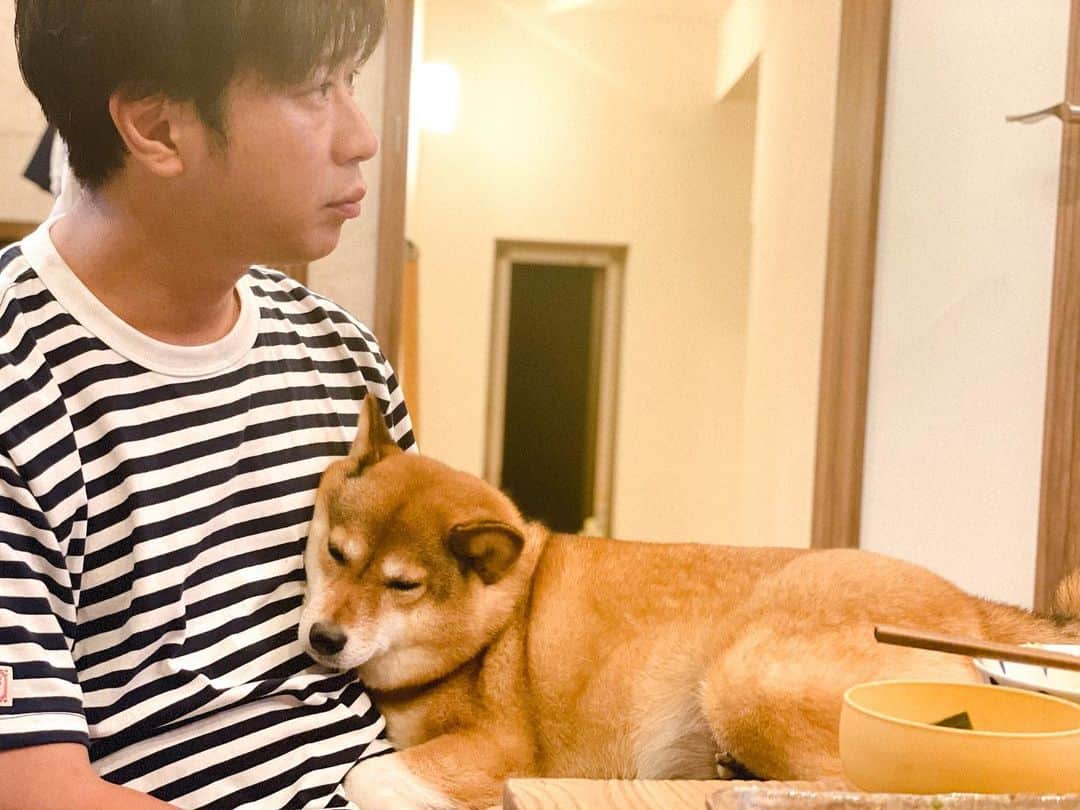 尾形貴弘のインスタグラム：「相変わらず 帰宅すると この調子です。」