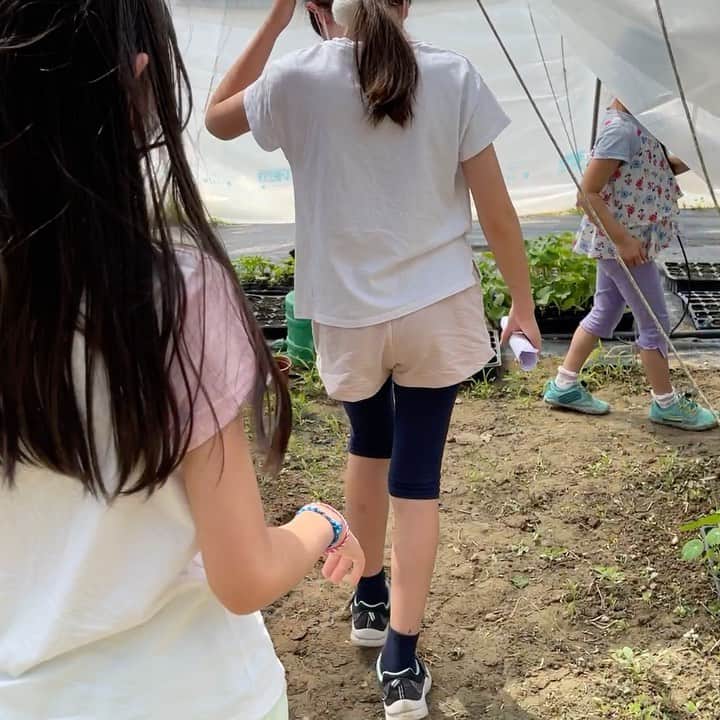 りありこのインスタグラム