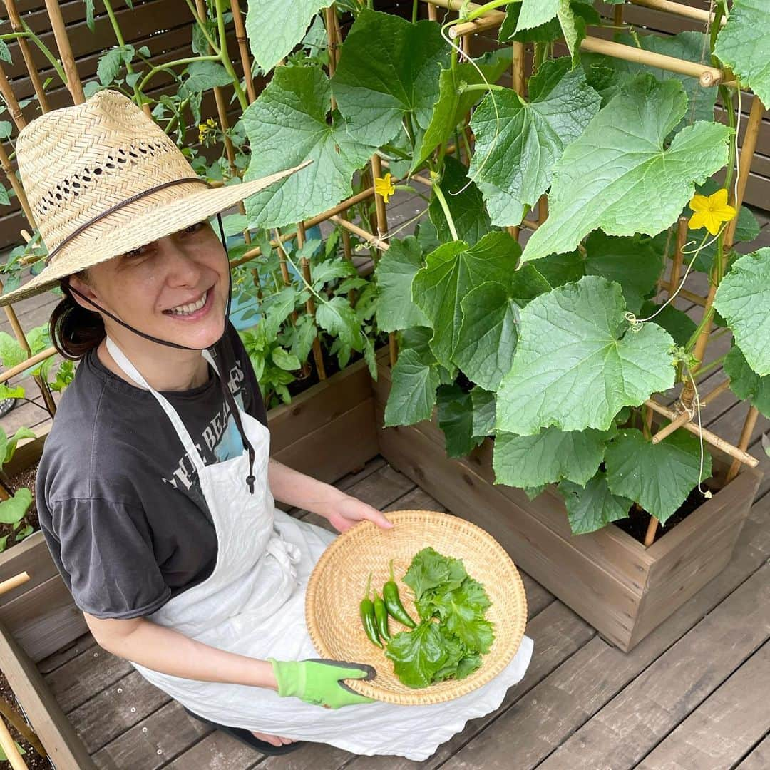 桐島かれんのインスタグラム