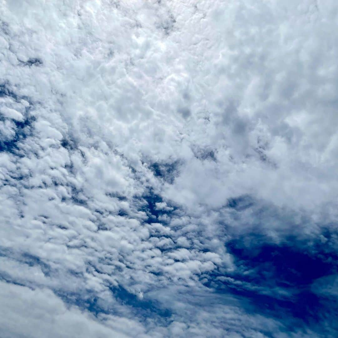 吉井明子さんのインスタグラム写真 - (吉井明子Instagram)「今日の空💙  各地で暑くなっていますが、皆さん体調崩していませんか？ 水分補給をしっかりして、無理はせずに、休憩しながら過ごしてくださいね😌✨  今日の空、見るたびに巻雲と巻積雲の模様が変わって楽しいです😆（スマホカメラは向けていますが、太陽は直接目で見ないように注意です⚠️）  本当に綺麗です💙✨  #昨夜はあたたかいコメントありがとうございました #ざわざわさせてしまってごめんなさい🥺 #もっと強くなりたいのですが… #いつも皆さんの優しさに救われています😌 #せっかく見てくださっている方がもっと笑顔になれるよう #私も笑顔でいます☺︎ #これからもよろしくお願いします #気象予報士 #気象キャスター #weatherforecaster #기상캐스터　#吉井明子  #東京の空 #青空」6月7日 14時42分 - akiko_yoshii_sunny_rain