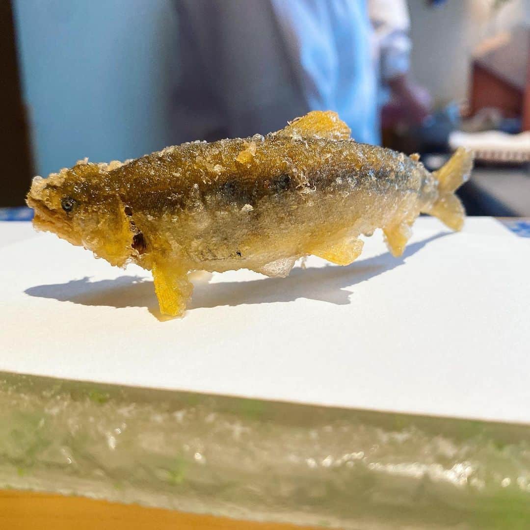 美雪ありすのインスタグラム：「先日、名古屋の天麩羅にい留さんに行ってきました🍤　  今が旬の鮎が美しい🐟 蛤は美味しすぎて何個も食べたかったです🥺　　 　 天ぷらが大好きで全国いろんなお店に行っていますが、美味しいお店は本当に揚げる技術がすごいなぁと毎回思います✨　  ちなみに私は料理好きな方ですが、揚げ物を作るのは苦手です😇　 キッチンも汚れるし、天ぷらを作った日にはゴタゴタの衣になります🤣　　  なので、天ぷらは外で美味しくいただきたいです💕😋　　  よく、美味しいお店にいっぱい行くと普通じゃ満足できなくならない？って言われるのですが、私は基本「ここは神」か「すごく美味しい」と「美味しい」しかないので何でも全部おいしいです😂　　 批評不向きです。笑 人が不味いと言ってるものも、こういう味のものと思って全然食べられちゃいます🤣　　 海外に行くとたまに謎すぎる料理はありますが😇　  いつも、食材と作ってくれている方々に感謝していただきます🙏　 堂々と残す人と、苦しいだけの大食い番組などは好きじゃないです🙅‍♀️  　  #にい留  #天麩羅  #グルメ部  #予約困難店  #美味しいごはんは幸せ」