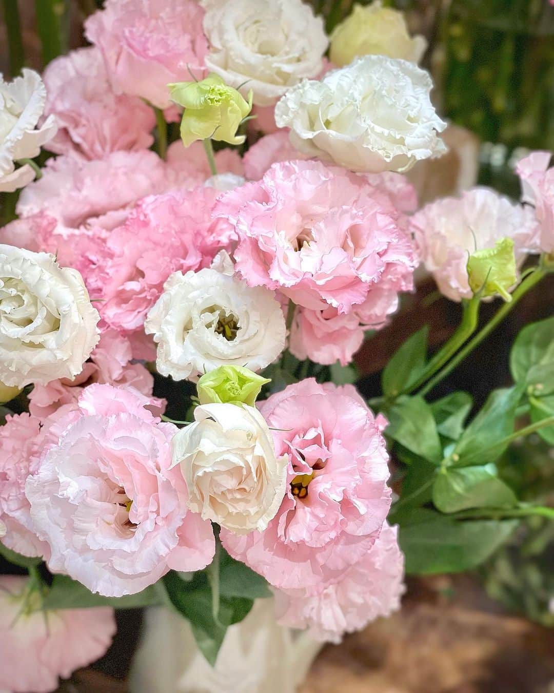 瀬戸早妃さんのインスタグラム写真 - (瀬戸早妃Instagram)「みなさまお元気ですか？  おうち時間を充実させてくれる、 可愛いお花をお迎えしました💐  #花のある暮らし  #flowerstagram」7月6日 14時22分 - plievesaki