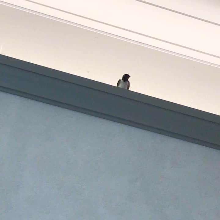 今井寿のインスタグラム