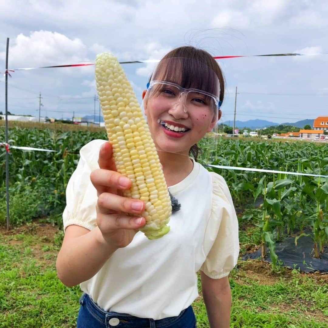 朝日放送「おはよう朝日土曜日です」さんのインスタグラム写真 - (朝日放送「おはよう朝日土曜日です」Instagram)「なないろも土日も…今週は堀ちゃんスペシャル🤔🌈 #おはよう朝日土曜日です#おは土#ABCテレビ #ジェイスブラッドフォード#堀くるみ #土日どーする #滋賀#自然満喫#夏おすすめスポット #エバーグレイズ琵琶湖#グランピング#アグリパーク竜王#収穫体験#ドルチェドリーム #7月3日放送」7月2日 18時37分 - ohado6ch