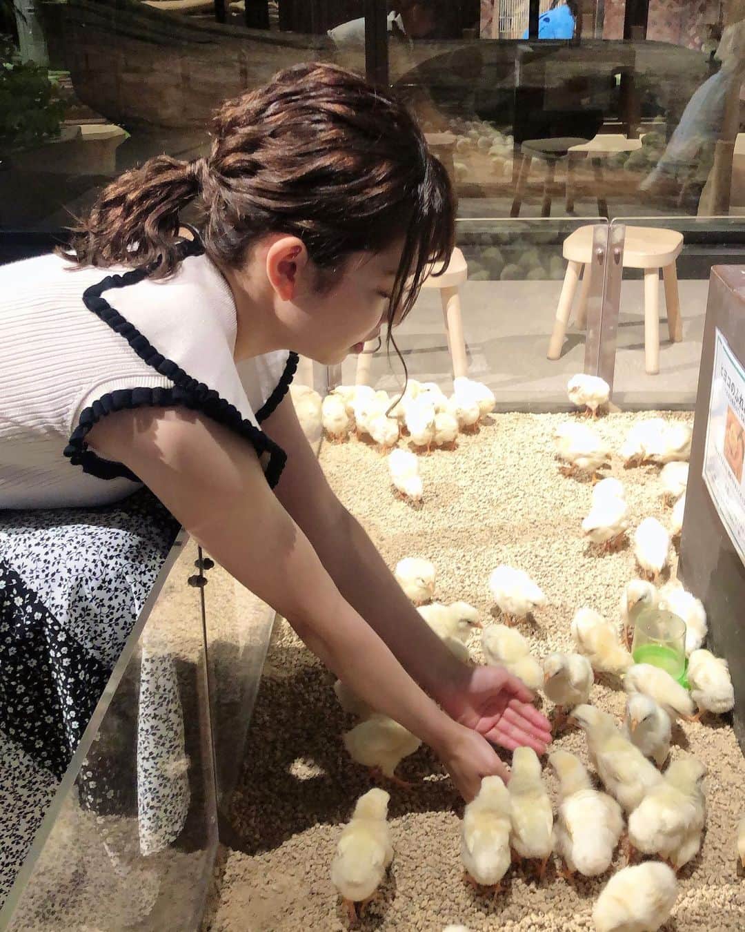 濱村春香のインスタグラム：「. ひよこすくうだけなのに必死 他の動物とも撮っておけばよかった🥲 ⁡ #ホリプロ #horipro #フリーアナウンサー #キャスター #リポーター」