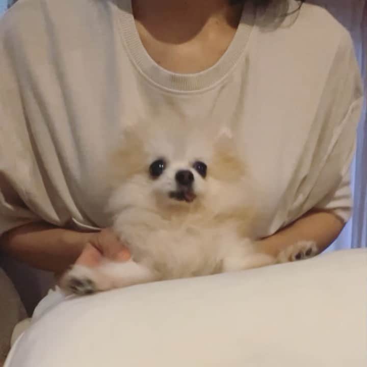 r_oseのインスタグラム：「Somepawdy help!!! 🐰🥁〰️」