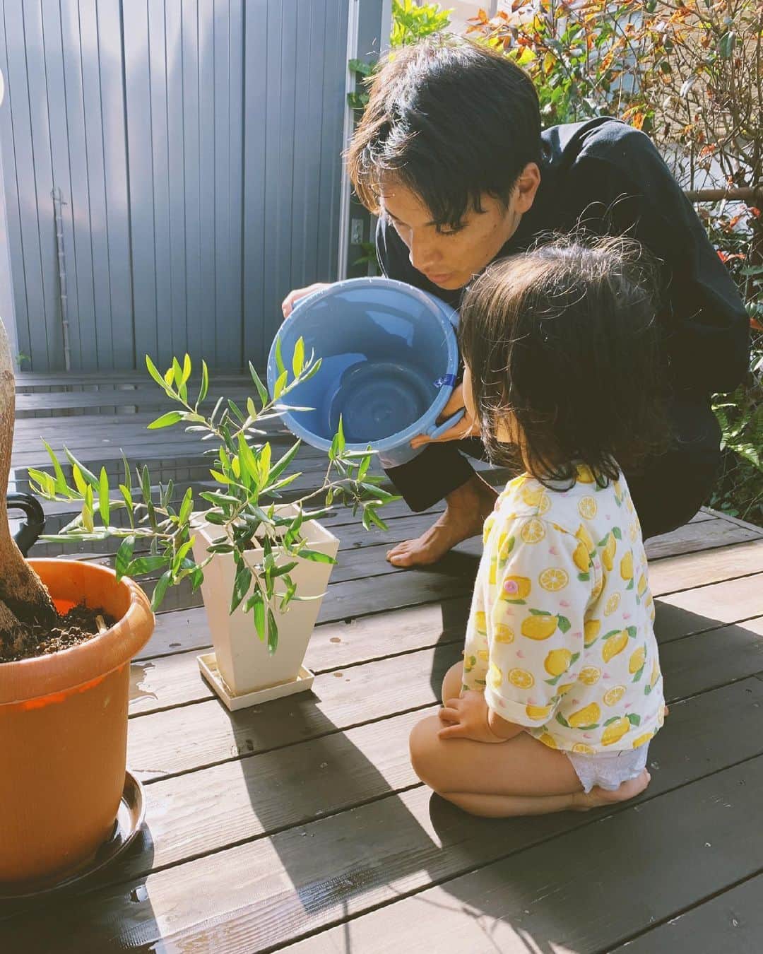 小屋春菜のインスタグラム：「晴れた日の朝の日課🌱  #familly #可愛い2人 #パパと娘 #オリーブ　#私の好きな写真」