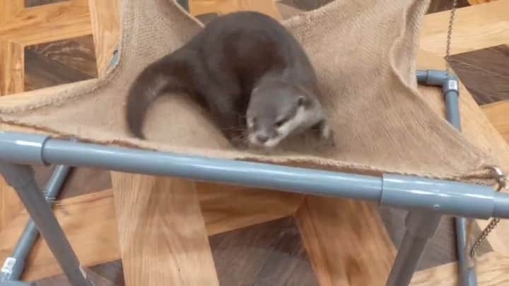 ちぃたん☆のインスタグラム