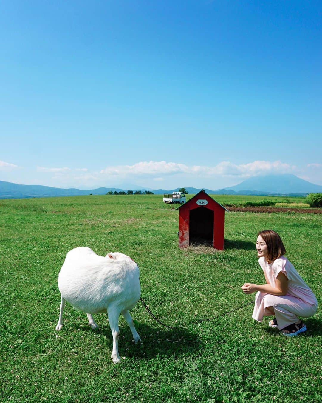西野沙瑛のグルメインスタ