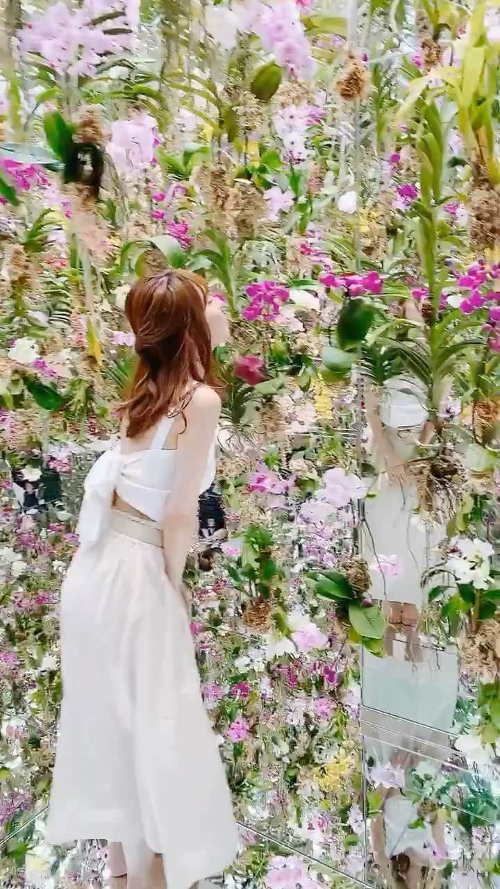 堀尾実咲のインスタグラム：「チームラボ💐👼  #teamlab #teamlabplanets #floatingflowergarden #flowers #toyosu #portrait #whitecode #darich #drwcys #チームラボ #チームラボプラネッツ #チームラボプラネッツ豊洲 #豊洲 #お花 #アート #ミュージアム #ホワイトコーデ #ダーリッチ #ドロシーズ #映えスポット #映え #フォトジェニック #フォトジェニックスポット」