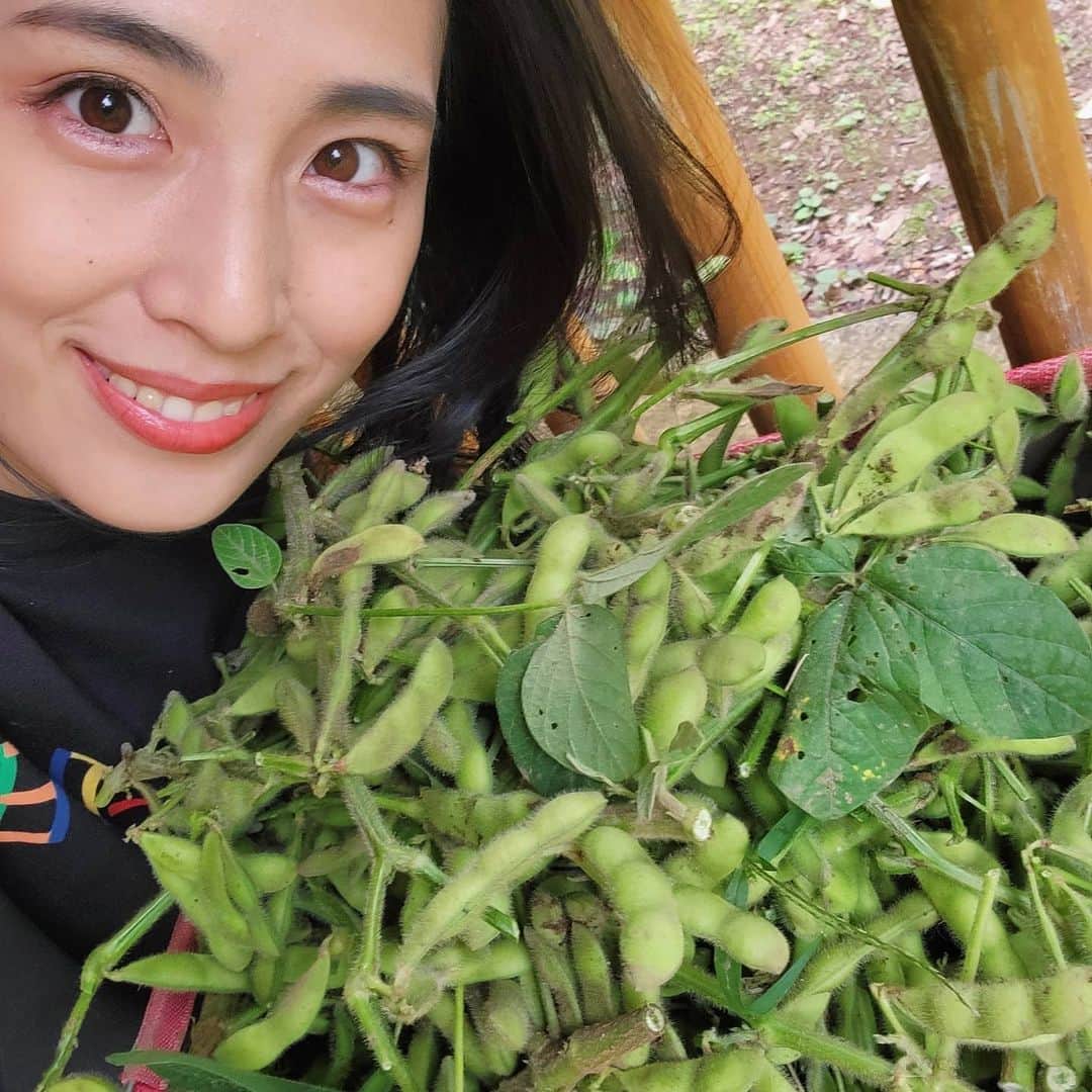 本仮屋リイナさんのインスタグラム写真 - (本仮屋リイナInstagram)「えだ豆いっぱ～い🙌🍚🍺💕  母の畑の枝豆が大豊作🌱先日、こどもたちと収穫しました！  引っこ抜くのは簡単だけど、ハサミで枝を切るのが、大変😵🐜  塩ゆでしてもりもり食べました😋 まだまだあるぞ～～💪  にんじんときゅうりも採ったよ🥕🐰  #枝豆こんもリイナ #📷 ２枚目は母が声で友情出演 #枝豆 #自家栽培 #家庭菜園 #農薬不使用 #サステナブル #サステナブルな暮らし #sdgs #eco #農作業」7月4日 7時55分 - riina_motokariya