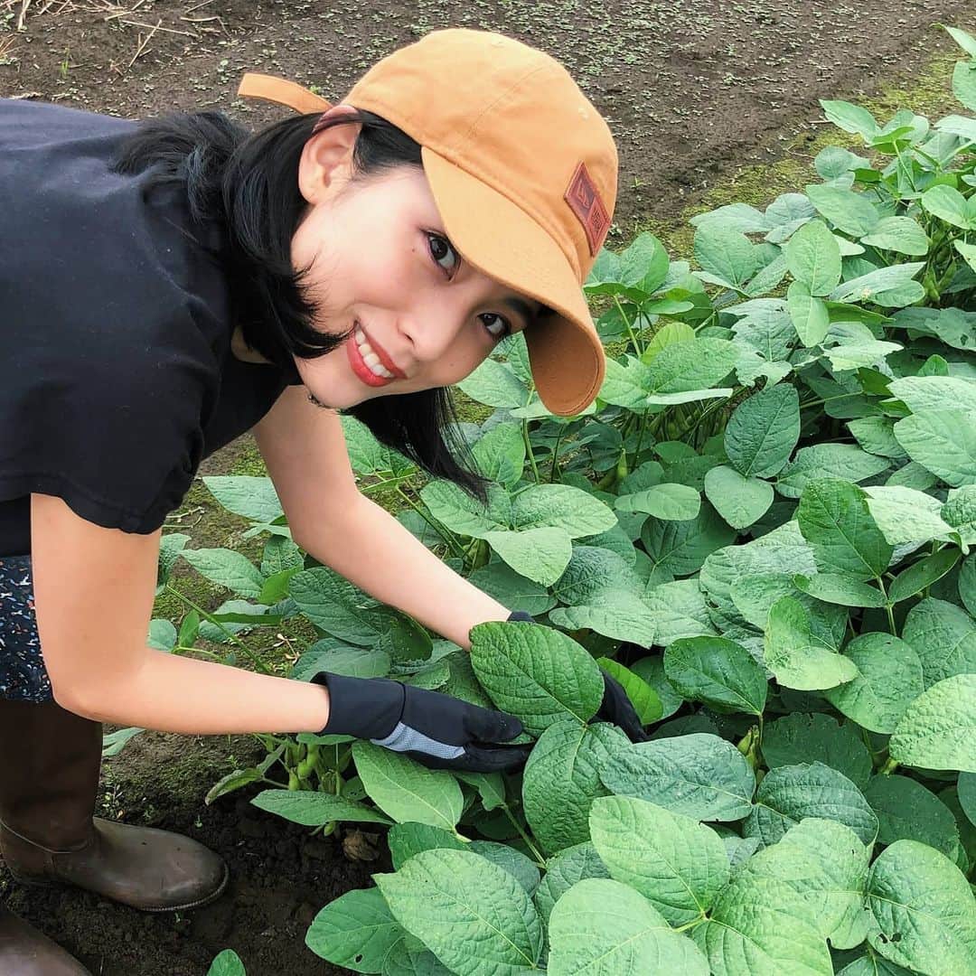 本仮屋リイナさんのインスタグラム写真 - (本仮屋リイナInstagram)「えだ豆いっぱ～い🙌🍚🍺💕  母の畑の枝豆が大豊作🌱先日、こどもたちと収穫しました！  引っこ抜くのは簡単だけど、ハサミで枝を切るのが、大変😵🐜  塩ゆでしてもりもり食べました😋 まだまだあるぞ～～💪  にんじんときゅうりも採ったよ🥕🐰  #枝豆こんもリイナ #📷 ２枚目は母が声で友情出演 #枝豆 #自家栽培 #家庭菜園 #農薬不使用 #サステナブル #サステナブルな暮らし #sdgs #eco #農作業」7月4日 7時55分 - riina_motokariya