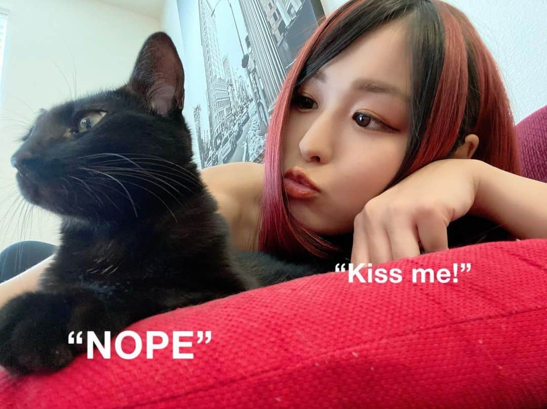 のインスタグラム：「😻😽😹」