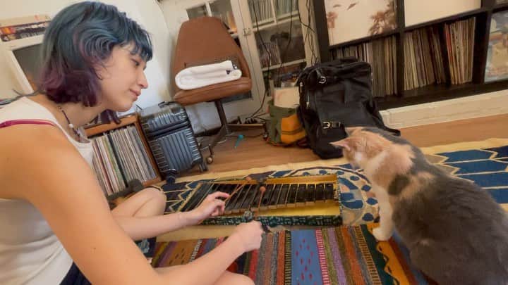 水原佑果のインスタグラム：「Xylo kitty chan 😽♫」