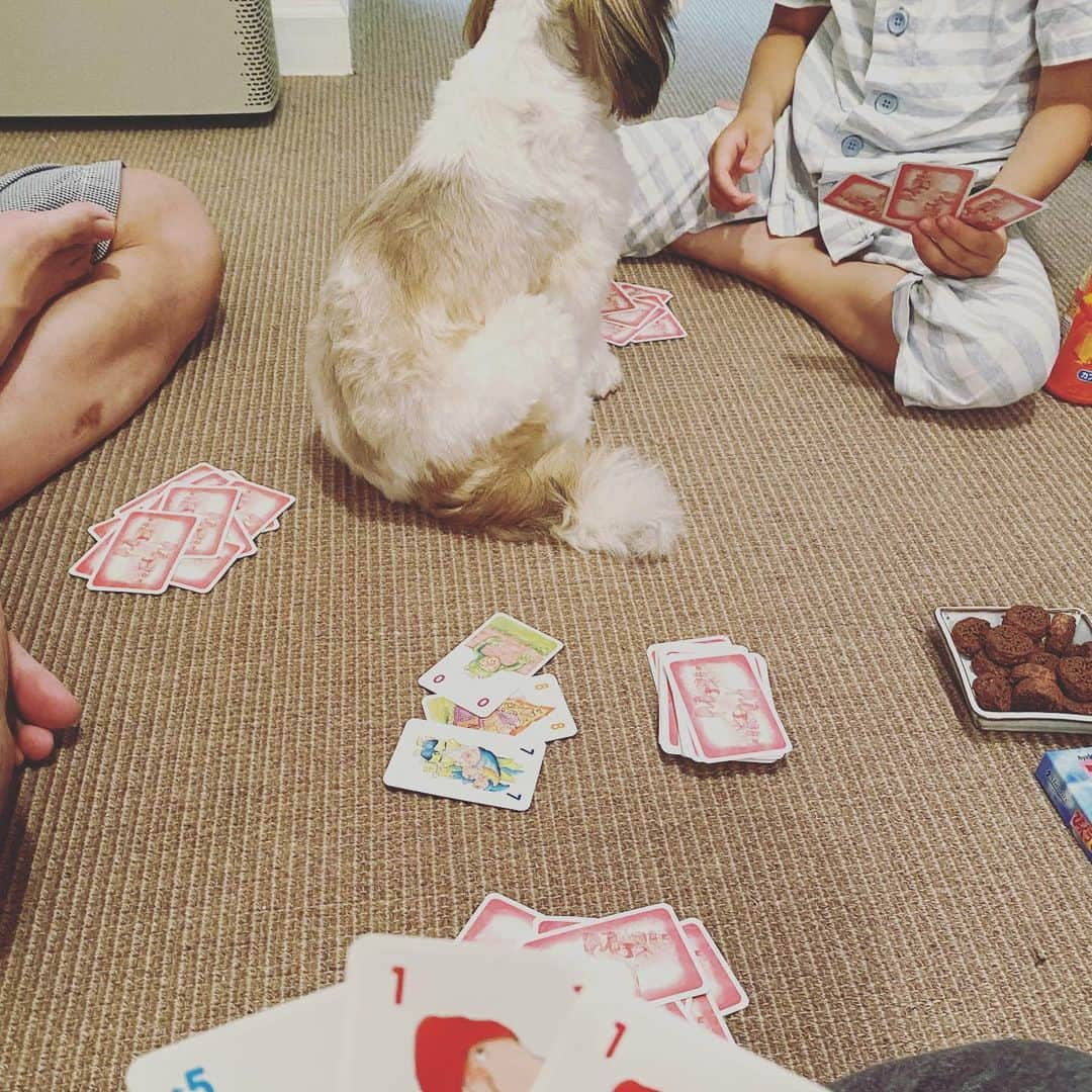 浜島直子さんのインスタグラム写真 - (浜島直子Instagram)「みなさん　こんにちは🐶  さいきん　ぼくのかぞくは  ぴっぐてん　ぴっぐてん　といいながら  まいばん　なにかやっています🐶  きっと　ぼくのなまえを　まちがえているんじゃないかと　おもいます🐶  ぼくのなまえは　ピピちゃん　です🐶  ピ　しか　あってません🐶  みなさんは　まちがえないように　してください🐶  よろしくおねがいします🐶✨ ・ #ぴっぐテン #ドイツのカードゲーム #ママ友に教えてもらって #計算がはやくなるよーと聞いてたけど #確かに！ #10になればいい超簡単ルール #詳しくはぴっぐテンで検索を #私はAmazonで買いました👍 #ピピちゃん #シーズー #元保護犬」7月4日 13時58分 - hamaji_0912