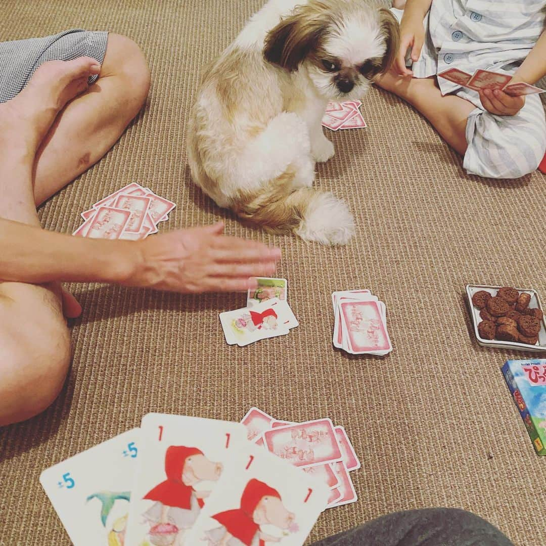 浜島直子さんのインスタグラム写真 - (浜島直子Instagram)「みなさん　こんにちは🐶  さいきん　ぼくのかぞくは  ぴっぐてん　ぴっぐてん　といいながら  まいばん　なにかやっています🐶  きっと　ぼくのなまえを　まちがえているんじゃないかと　おもいます🐶  ぼくのなまえは　ピピちゃん　です🐶  ピ　しか　あってません🐶  みなさんは　まちがえないように　してください🐶  よろしくおねがいします🐶✨ ・ #ぴっぐテン #ドイツのカードゲーム #ママ友に教えてもらって #計算がはやくなるよーと聞いてたけど #確かに！ #10になればいい超簡単ルール #詳しくはぴっぐテンで検索を #私はAmazonで買いました👍 #ピピちゃん #シーズー #元保護犬」7月4日 13時58分 - hamaji_0912