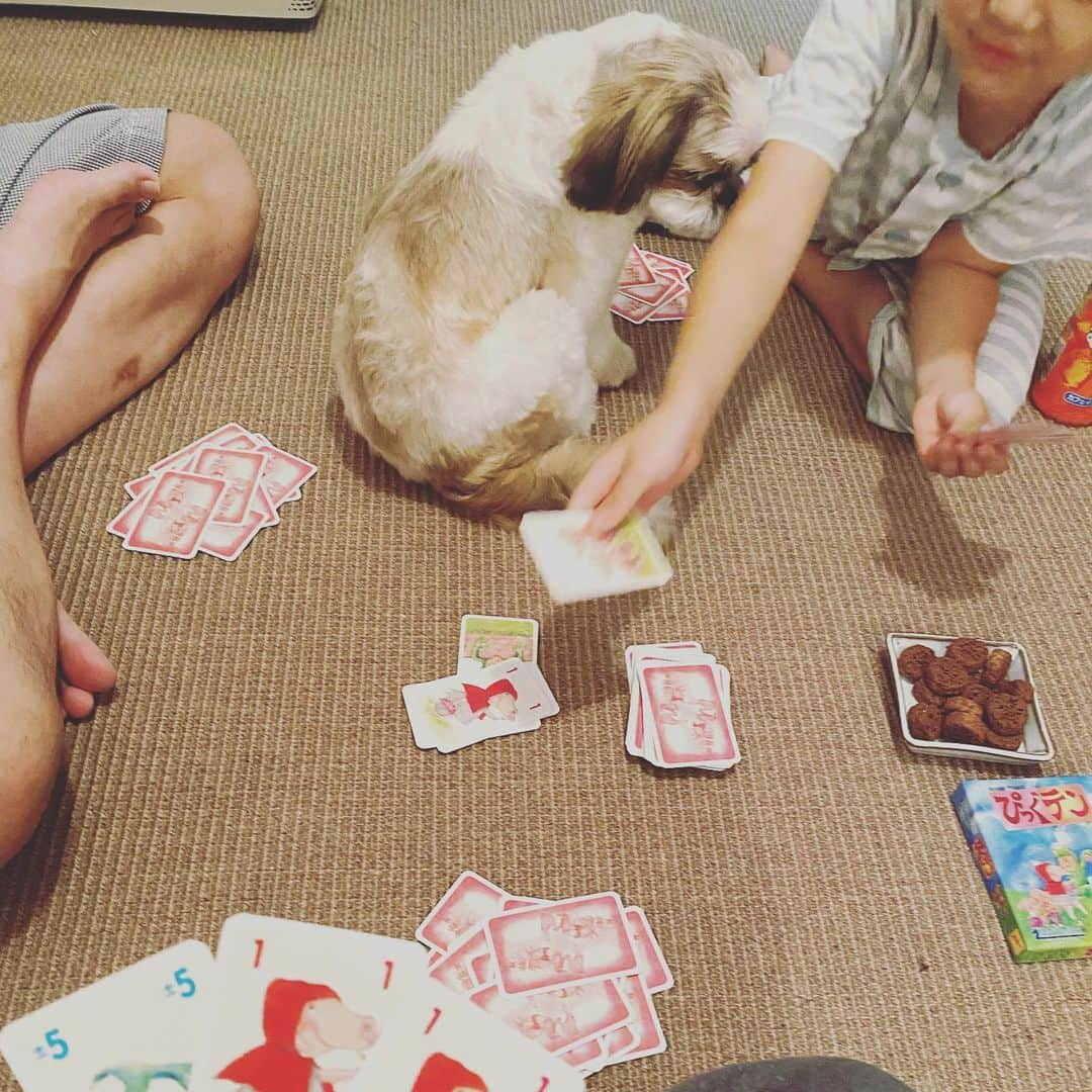 浜島直子さんのインスタグラム写真 - (浜島直子Instagram)「みなさん　こんにちは🐶  さいきん　ぼくのかぞくは  ぴっぐてん　ぴっぐてん　といいながら  まいばん　なにかやっています🐶  きっと　ぼくのなまえを　まちがえているんじゃないかと　おもいます🐶  ぼくのなまえは　ピピちゃん　です🐶  ピ　しか　あってません🐶  みなさんは　まちがえないように　してください🐶  よろしくおねがいします🐶✨ ・ #ぴっぐテン #ドイツのカードゲーム #ママ友に教えてもらって #計算がはやくなるよーと聞いてたけど #確かに！ #10になればいい超簡単ルール #詳しくはぴっぐテンで検索を #私はAmazonで買いました👍 #ピピちゃん #シーズー #元保護犬」7月4日 13時58分 - hamaji_0912