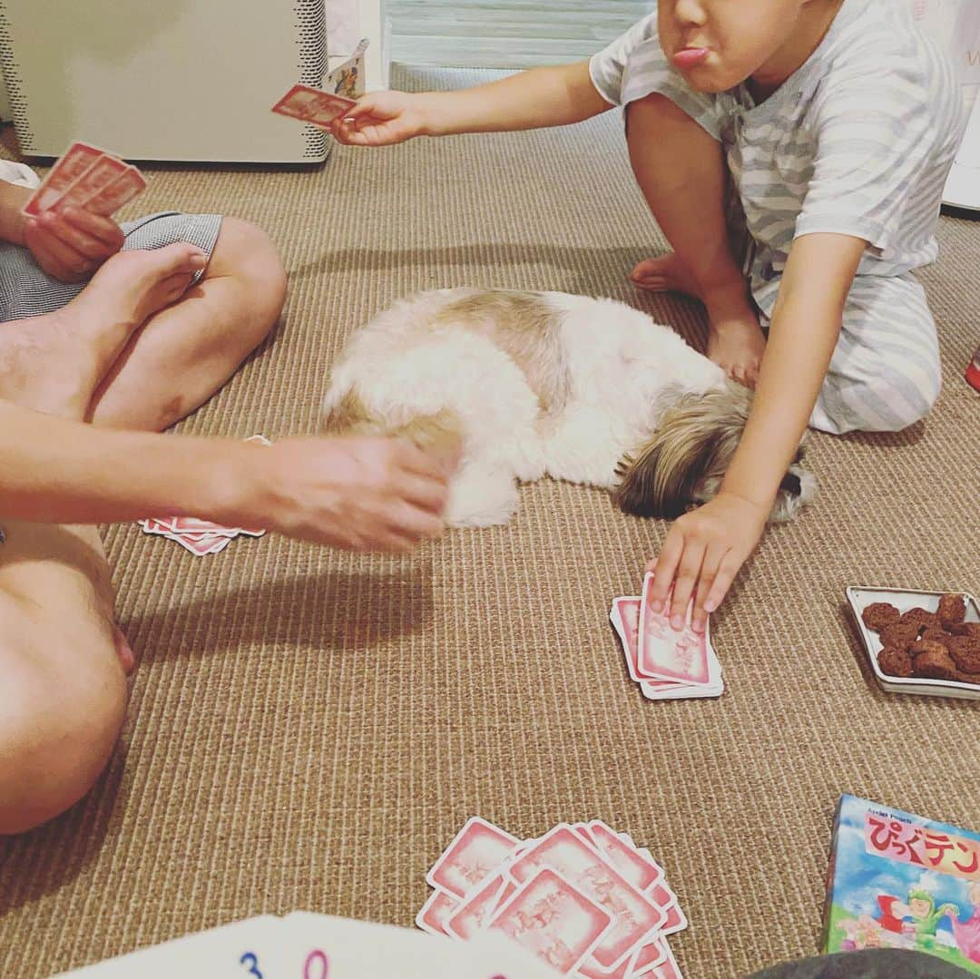 浜島直子さんのインスタグラム写真 - (浜島直子Instagram)「みなさん　こんにちは🐶  さいきん　ぼくのかぞくは  ぴっぐてん　ぴっぐてん　といいながら  まいばん　なにかやっています🐶  きっと　ぼくのなまえを　まちがえているんじゃないかと　おもいます🐶  ぼくのなまえは　ピピちゃん　です🐶  ピ　しか　あってません🐶  みなさんは　まちがえないように　してください🐶  よろしくおねがいします🐶✨ ・ #ぴっぐテン #ドイツのカードゲーム #ママ友に教えてもらって #計算がはやくなるよーと聞いてたけど #確かに！ #10になればいい超簡単ルール #詳しくはぴっぐテンで検索を #私はAmazonで買いました👍 #ピピちゃん #シーズー #元保護犬」7月4日 13時58分 - hamaji_0912