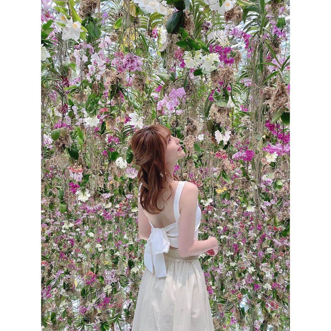 堀尾実咲のインスタグラム：「@teamlab @teamlab.planets  新しくガーデンエリアが 誕生したとのことで 行ってきたよ👼🤍 　 こちらは Floating Frower Garden  蘭のお花がたくさん💐 美しかったー✨✨✨ 本物のお花たちだから 香りもふわぁってするの☺️  #teamlab #teamlabplanets #floatingflowergarden #flowers #toyosu #portrait #whitecode #darich #drwcys #チームラボ #チームラボプラネッツ #チームラボプラネッツ豊洲 #豊洲 #お花 #蘭 #アート #ミュージアム #ホワイトコーデ #ダーリッチ #ドロシーズ #映えスポット #映え #フォトジェニック #フォトジェニックスポット」