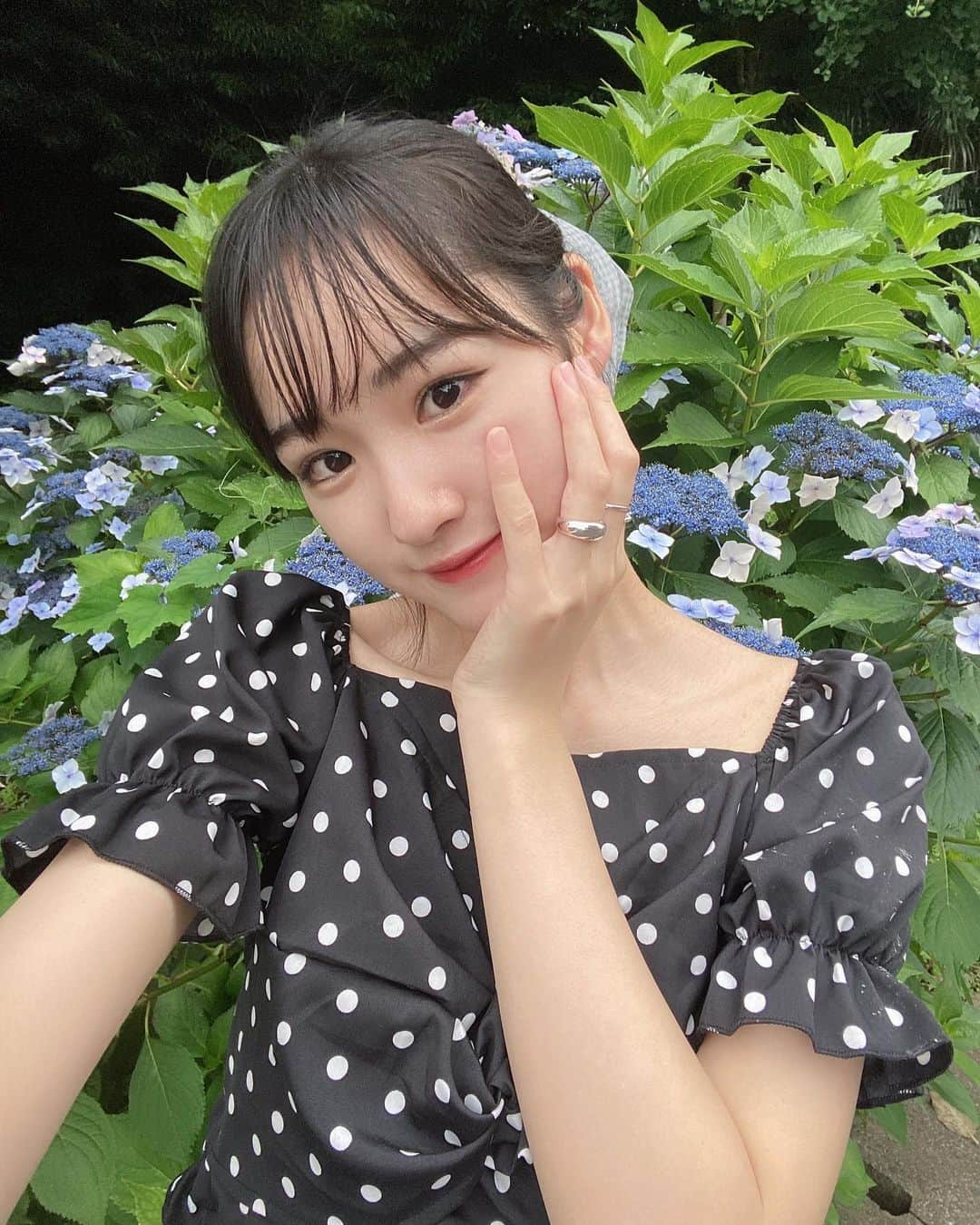 組橋星奈さんのインスタグラム写真 - (組橋星奈Instagram)「・ ・ ・ あじさいが綺麗だったからパシャリ✨ ・ 土日って過ぎるの早いね😵‍ ・ ・ ・  #組橋星奈  #あじさい  #ニコラ」7月4日 18時13分 - sena_kumihashi0716