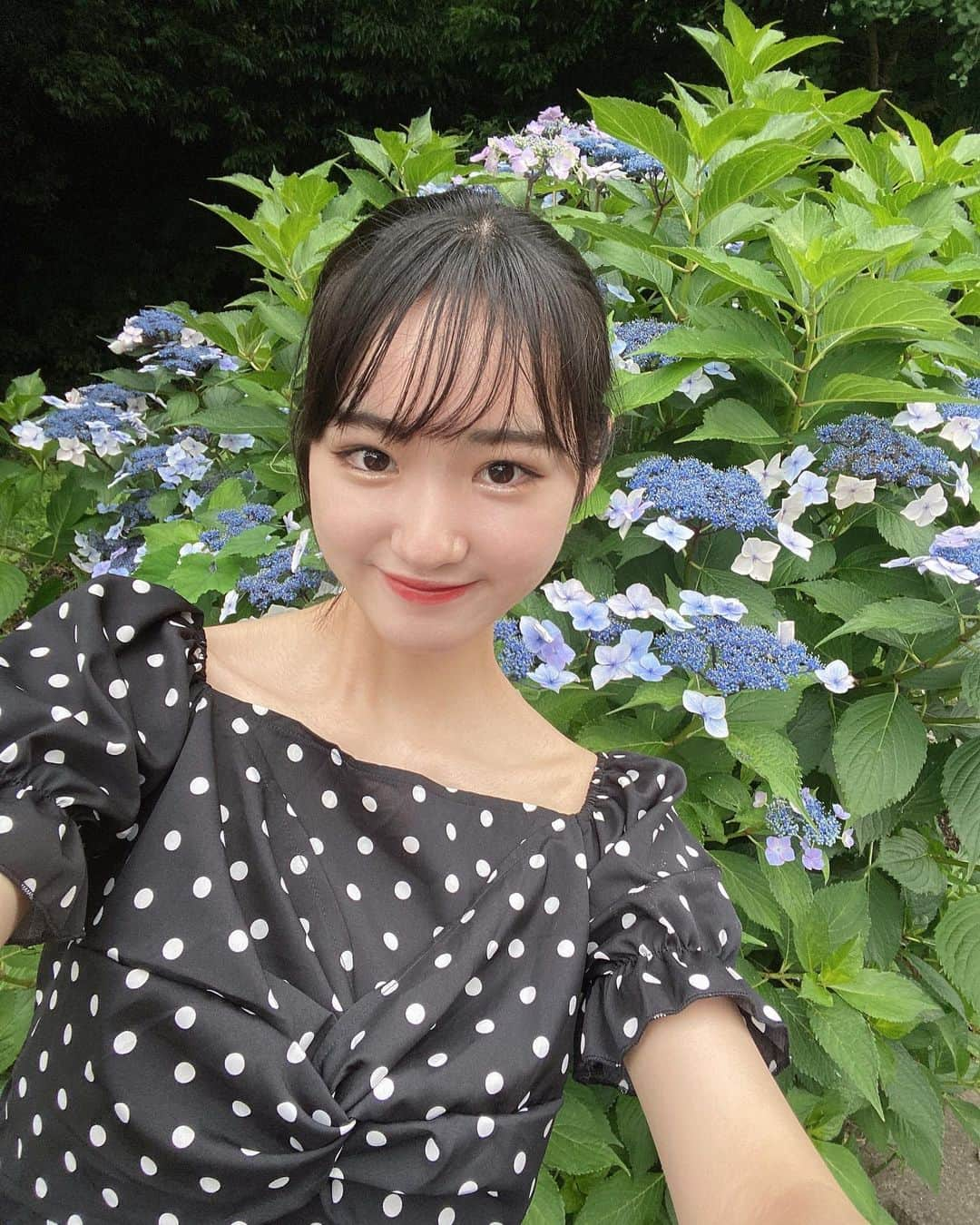 組橋星奈さんのインスタグラム写真 - (組橋星奈Instagram)「・ ・ ・ あじさいが綺麗だったからパシャリ✨ ・ 土日って過ぎるの早いね😵‍ ・ ・ ・  #組橋星奈  #あじさい  #ニコラ」7月4日 18時13分 - sena_kumihashi0716