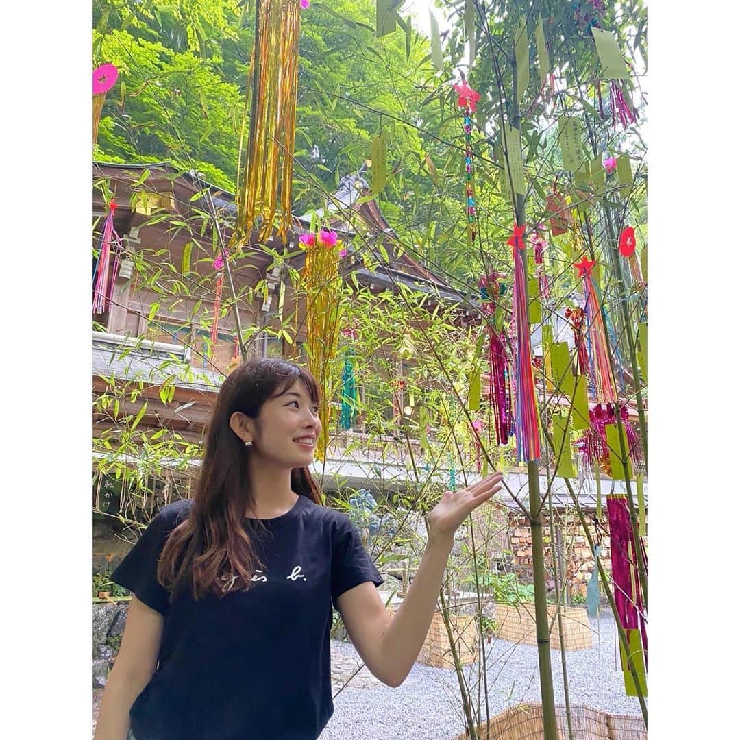 梅山茜さんのインスタグラム写真 - (梅山茜Instagram)「. ＊7月start…🎋＊ . いつの間にか7月が始まっていました。 今年も残り半年。早いなあ、、 下半期もたくさんの人と出逢って 色んなお仕事ができますように。 よろしくお願いします🥰  そして下半期、新しいお仕事の情報も お知らせしていきますね📣 まだ解禁前のものがいくつか… 楽しみにしていてください🥳 まずは今日の21:30〜FM大阪の 「Nj on the Radio Special」に出演します📻 「はれ、のち、パインアメ◎」について たくさん語っていますので是非〜💗 . 先日見つけた大きな笹の葉🎋 7月になったら至る所で笹の葉を見かけて とてもテンションが上がります🥰 . #アナウンサー#フリーアナウンサー#女子アナ#ラジオ#アニエスベー#はれのちパインアメ#パインアメ#fm大阪#radio#radiko#kyoto#japan#agnesb#新番組#京都#京都観光#貴船神社#貴船#七夕#笹の葉」7月4日 19時09分 - umeyama_akane