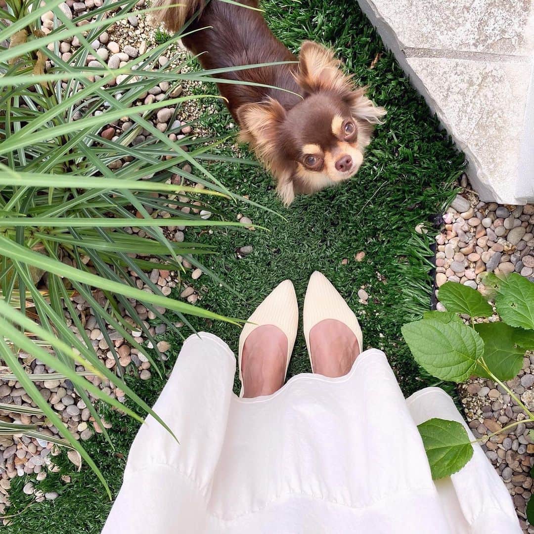 Rina Itagakiのインスタグラム：「New eco-friendly shoes from @vivaia_official 🥿 新しいフラットシューズが仲間入り🤍実はこれ、ペットボトル6本からできてるエコシューズ😳 形も綺麗で何より軽くて、出張でも活躍しそう✨  10%オフクーポン【RINA10】よかったら使ってください🙌  #VIVAIA #vivaiaonmyway #weekend」