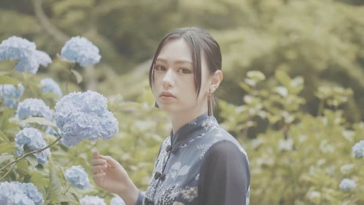 宮澤じゅりのインスタグラム：「*.＊*・°.＊・°.○* . 中華風ワンピースでどこか異国の雰囲気がある動画になりました♡ . . この異国感がお気に入り♪ . . .*＊*＊*＊*＊*＊*. . YouTube Video Portrait 6 Hydrangea . .*＊*＊*＊*＊*＊*. . 是非YouTubeでfull視聴してください☺︎✴︎ . . *.＊*・°.＊・°.○*」