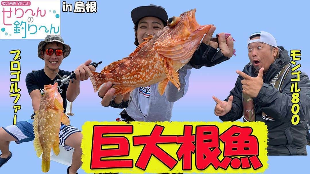 彼方茜香さんのインスタグラム写真 - (彼方茜香Instagram)「最新作♥ 彼方茜香YouTubeチャンネル 「せり〜んの釣り〜ん」 アップロードされましたぁ♪ 今回もゲストにお越しいただき、 釣りまくってます！！ @satoshitakazato  さん @yudai18golf  さん @adarn2020 船長 みんなで取った1匹1匹！ どんな魚が現れるか楽しみに見てください‪\♡︎/︎  #YouTube  #2020年8月スタート  #沢山の仲間が力を貸してくれて  #大切にしたいチャンネル  #もう少しで登録者数  #1万人   #島根県  #電動タイラバ  #tetrapots  #日本海のポテンシャル  #彼方茜香  #せりんの釣りん  #sarynfishing」7月4日 20時02分 - serikaochikata