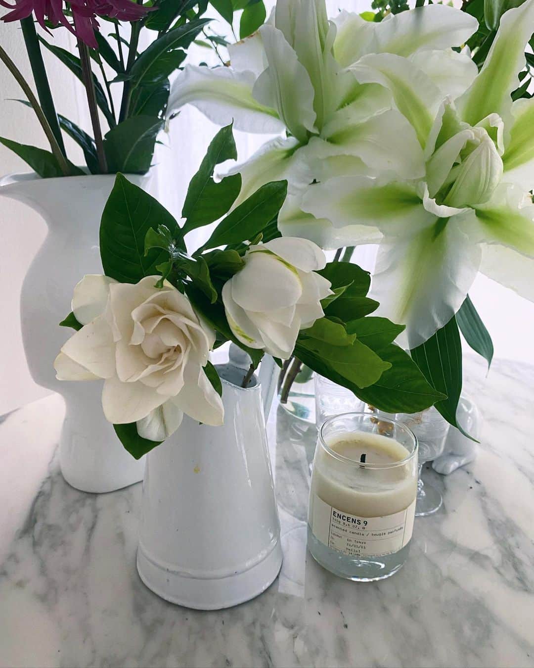 辻直子さんのインスタグラム写真 - (辻直子Instagram)「#aboupgardenia#favoriteflower#luckycharms #くちなしの花が香るあいだは#キャンドルはお休み#この香りとどくかな☺️好きすぎてたまらない♡  くちなし、のこんなにいい香り なんてこんなに素晴らしい香りをくちなしはもらえたんだろ  好きすぎていつも飾っていたいけど 季節もあるし長持ちもしなくてなかなか手に入れられない  だから今の価値が最高❤️💛  華やかな八重咲きの百合よりもくちなし」7月5日 9時40分 - naoko.ts