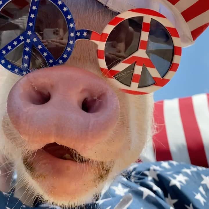 のインスタグラム：「Happy 4th of July!!! 🇺🇸🎆🎇」