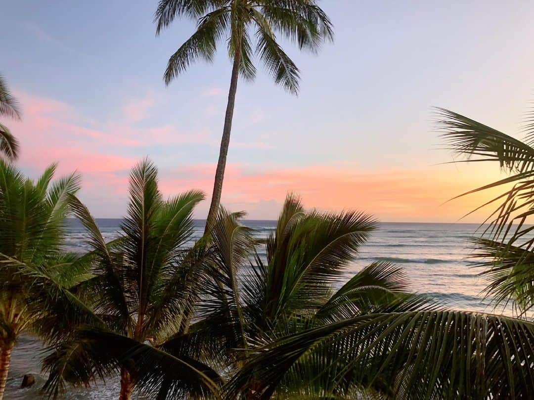 南美沙さんのインスタグラム写真 - (南美沙Instagram)「この景色が恋しいにゃ。  Hawaii」7月5日 13時33分 - miee.misa