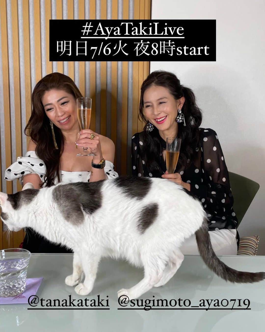 杉本彩のインスタグラム：「* * お時間ある方、明日のインスタライヴもよろしければお付き合いください😉  #ayatakilive  #ayatakibar   @sugimoto_aya0719  @liberata_official   @tanakataki  @iza_official」