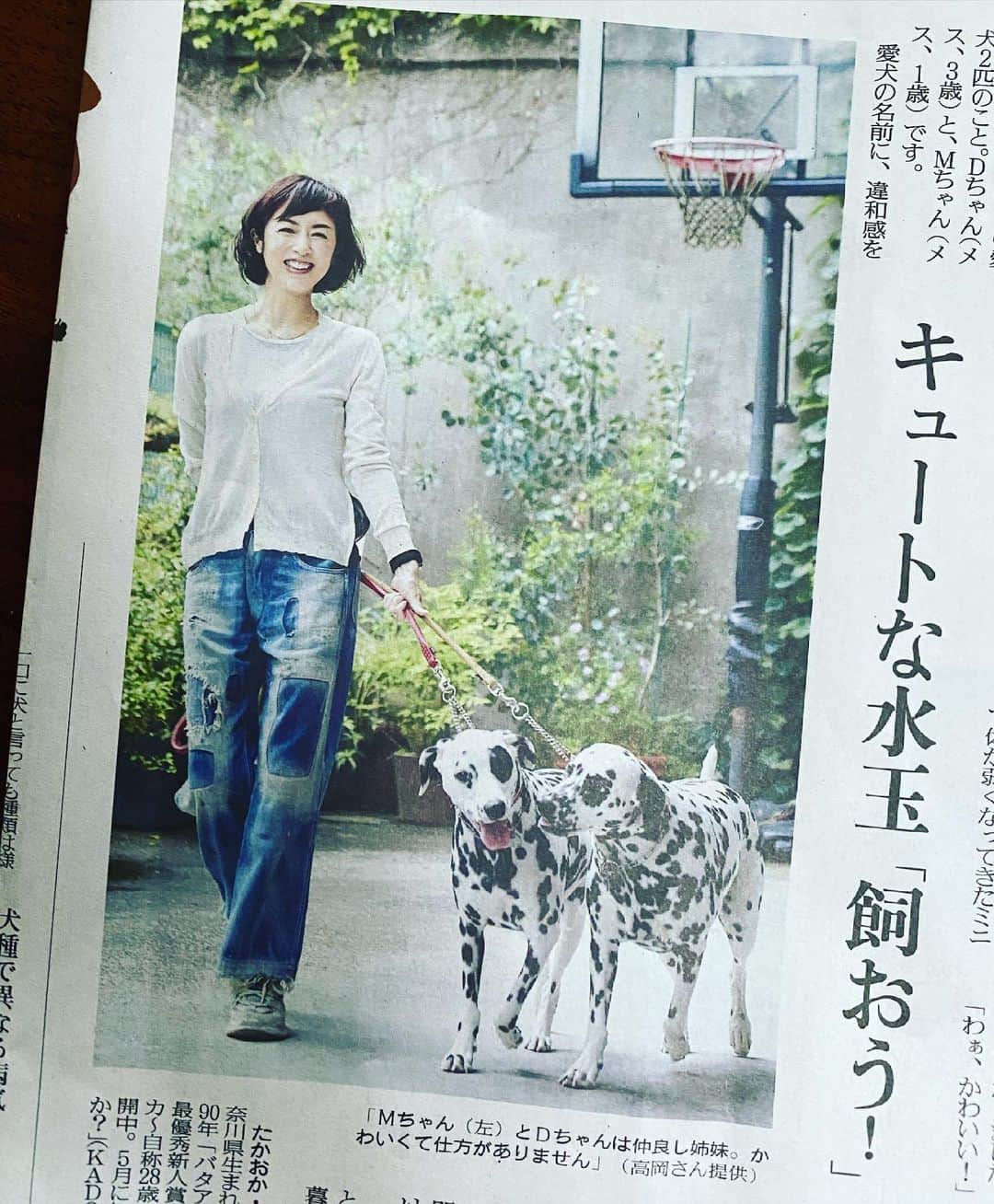 高岡早紀 さんのインスタグラム写真 - (高岡早紀 Instagram)「今夜の読売新聞　"交遊録" で犬たちとの暮らしをお話しさせて頂きました。。  #読売新聞　#交遊録」7月5日 17時58分 - saki_takaoka