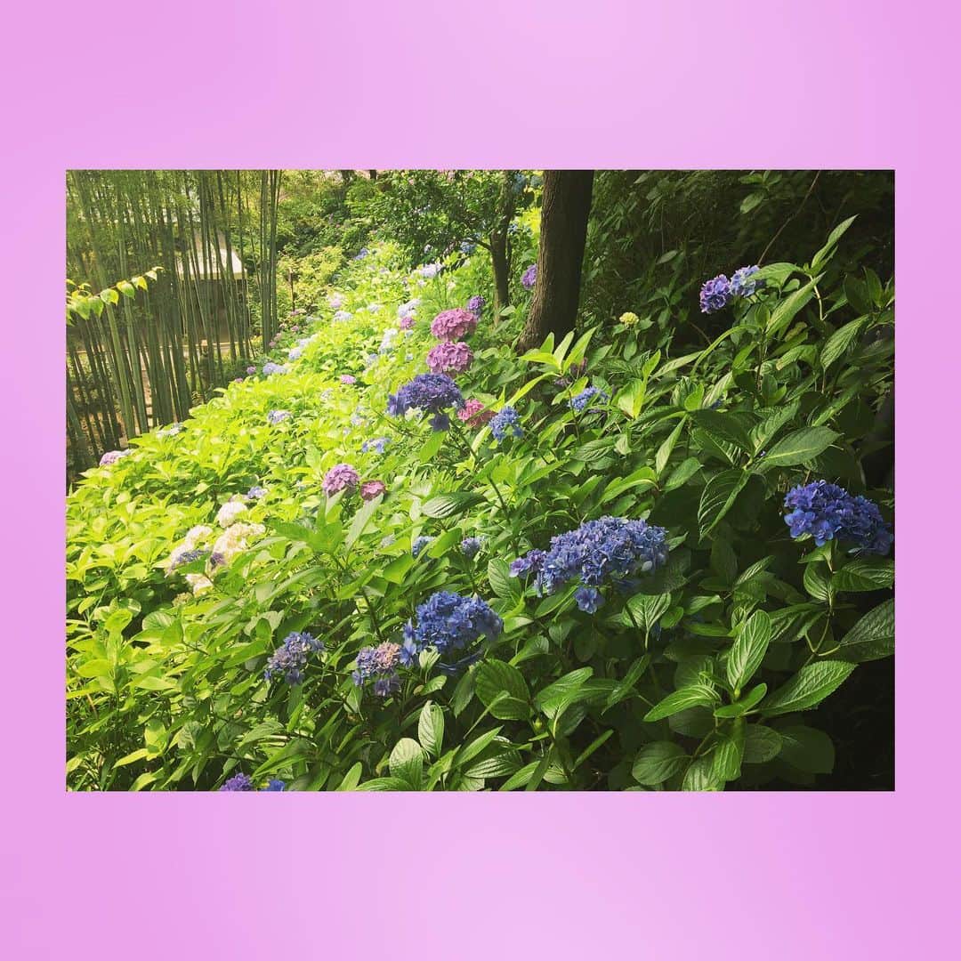 千眼美子さんのインスタグラム写真 - (千眼美子Instagram)「・ 🇯🇵」7月5日 22時03分 - yoshiko_sengen