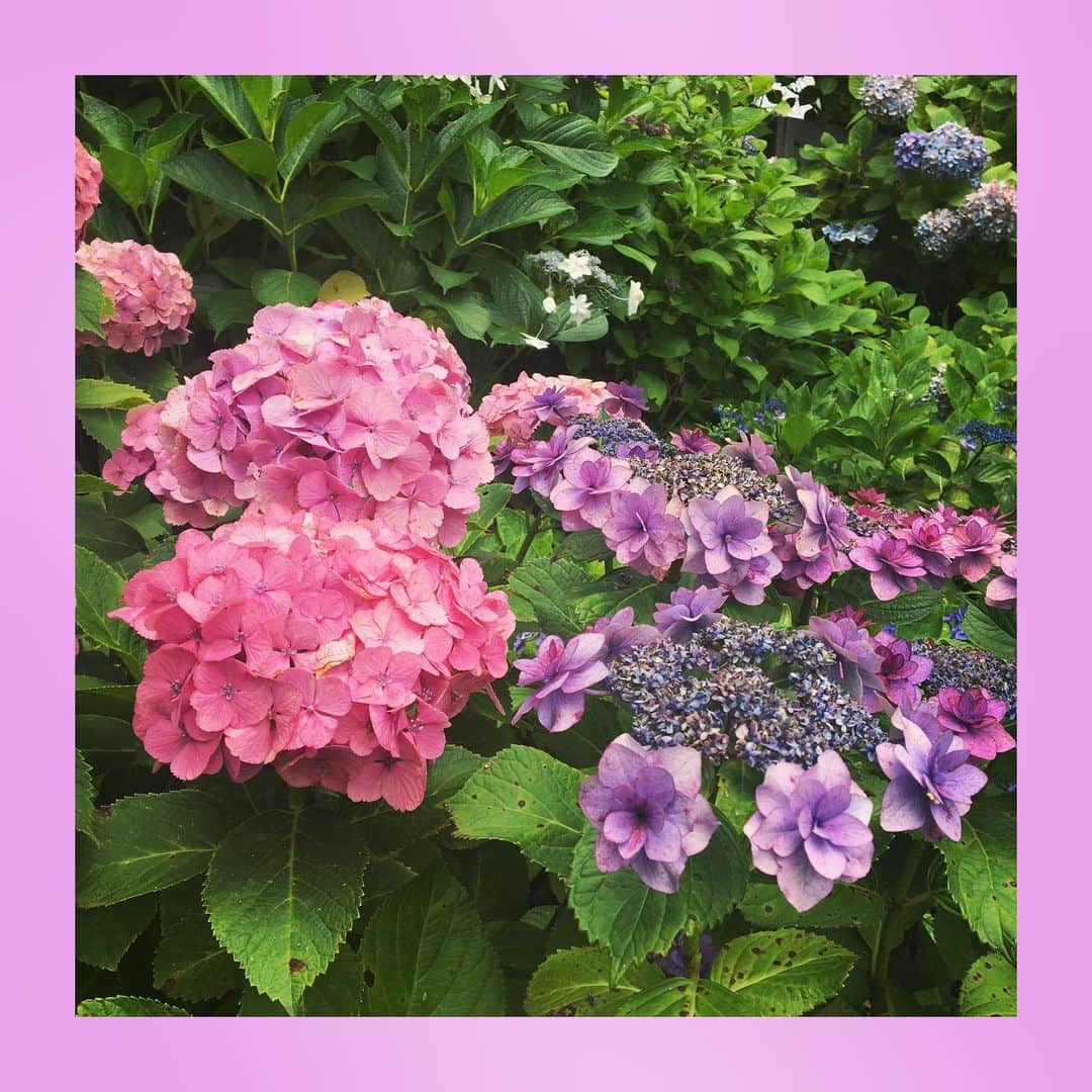 千眼美子さんのインスタグラム写真 - (千眼美子Instagram)「・ 🇯🇵」7月5日 22時03分 - yoshiko_sengen