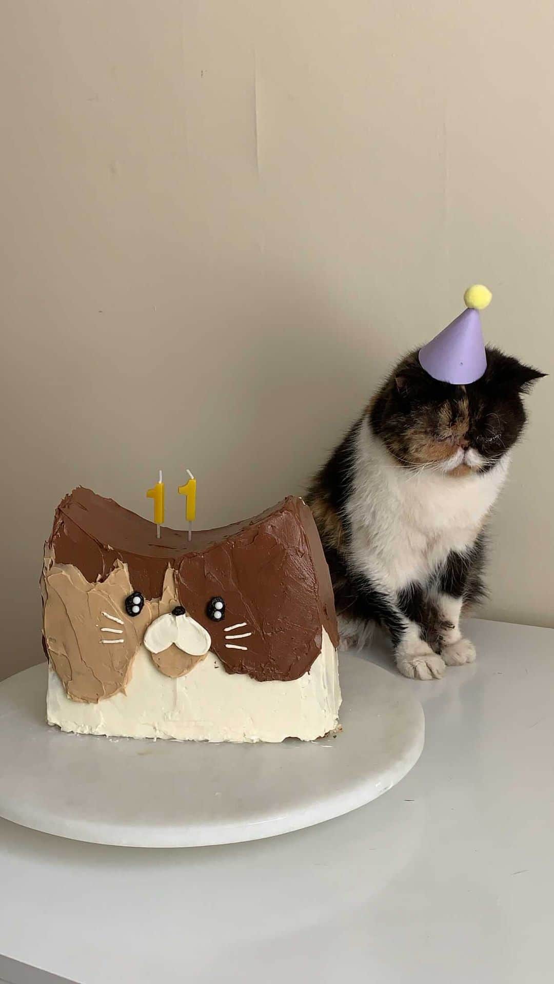 Pudgeのインスタグラム：「Today Pudge turns 11 years old! Wow!  To celebrate, Pudge helped me make a Pudge cake  🍰🍰🍰🍰🍰🍰🍰  Recipe: 2 1/4 cups (280g) all-purpose flour 2 1/4 tsp baking powder 1/2 tsp salt 2 sticks room-temp unsalted butter 1 1/2 cup (300g) sugar 3 large eggs, room-temp 1 1/2 tsp vanilla 1 cup milk, room-temp 1 sleeve of Oreos   Combine dry ingredients in a bowl & set aside.   In a stand mixer, cream butter and sugar on med-high until pale and fluffy (3mins)  Reduce speed and add vanilla & eggs one at a time  Alternate adding flour mixture and milk, beginning and ending with flour.   Fold in Oreos broken by hand (don’t crush them too finely)  Bake for 35-40mins at 350°F  #pudgethecat #pudgeybaker #recipe #oreocake #catcake #cutecakes #cutecake #cake #cakedecorating #cakesofinstagram」