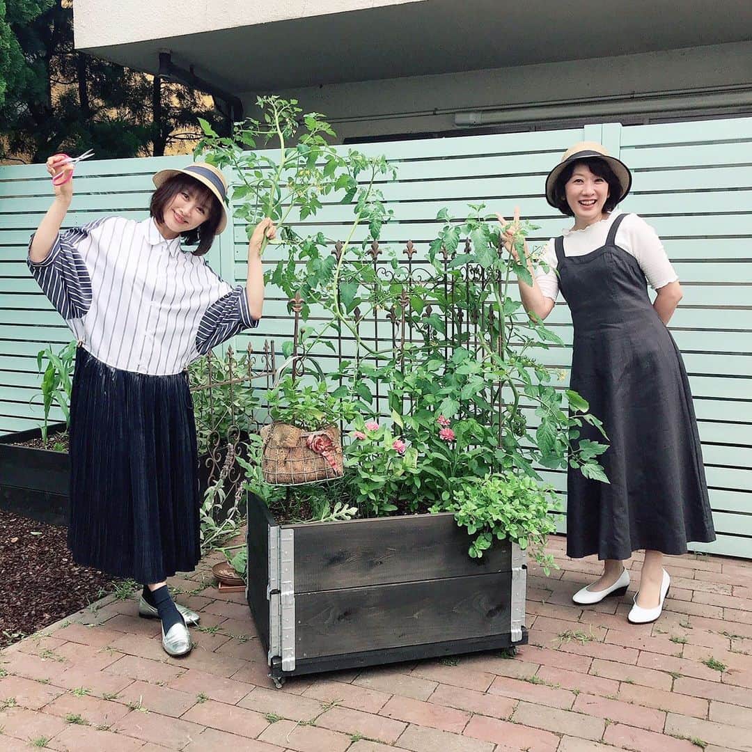 山口もえのインスタグラム：「・  今年の春から始めたミニポタジェ🍅🫑🍉🌿🌸 種類が違う野菜やハーブや花達がそれぞれ 仲良く共存して育っています♡  根が浅くはるもの、逆に深くはるもの  太陽をとにかく浴びたいもの 少し陰るくらいが好きなもの  もし植物の声が聞こえるとしたら・・・ とても楽しそうに会話してるんだろうなぁ〜💓 って思います😊笑 それくらい皆元気です！！  それから・・・ 秋に収穫するエダマメのタネまきをします🌱✨ お楽しみ！！  6月13日(日) 8:00〜8:25 NHK-E「趣味の園芸 やさいの時間」 もえのプランター菜園📺  ・6月17日（木）Eテレ午後0:00〜午後0:25 ・6月17日（木）NHK総合　15:10〜15:34  #TV#やさいの時間#ガーデニング #プランター菜園 #深町貴子 さんと💕 #ミニポタジェ #おうち時間 #植物から元気をもらおう」